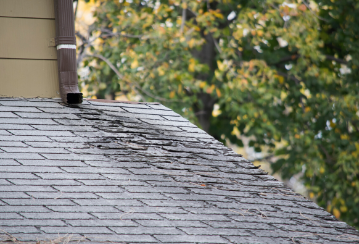Damaged shingles on a roof.
